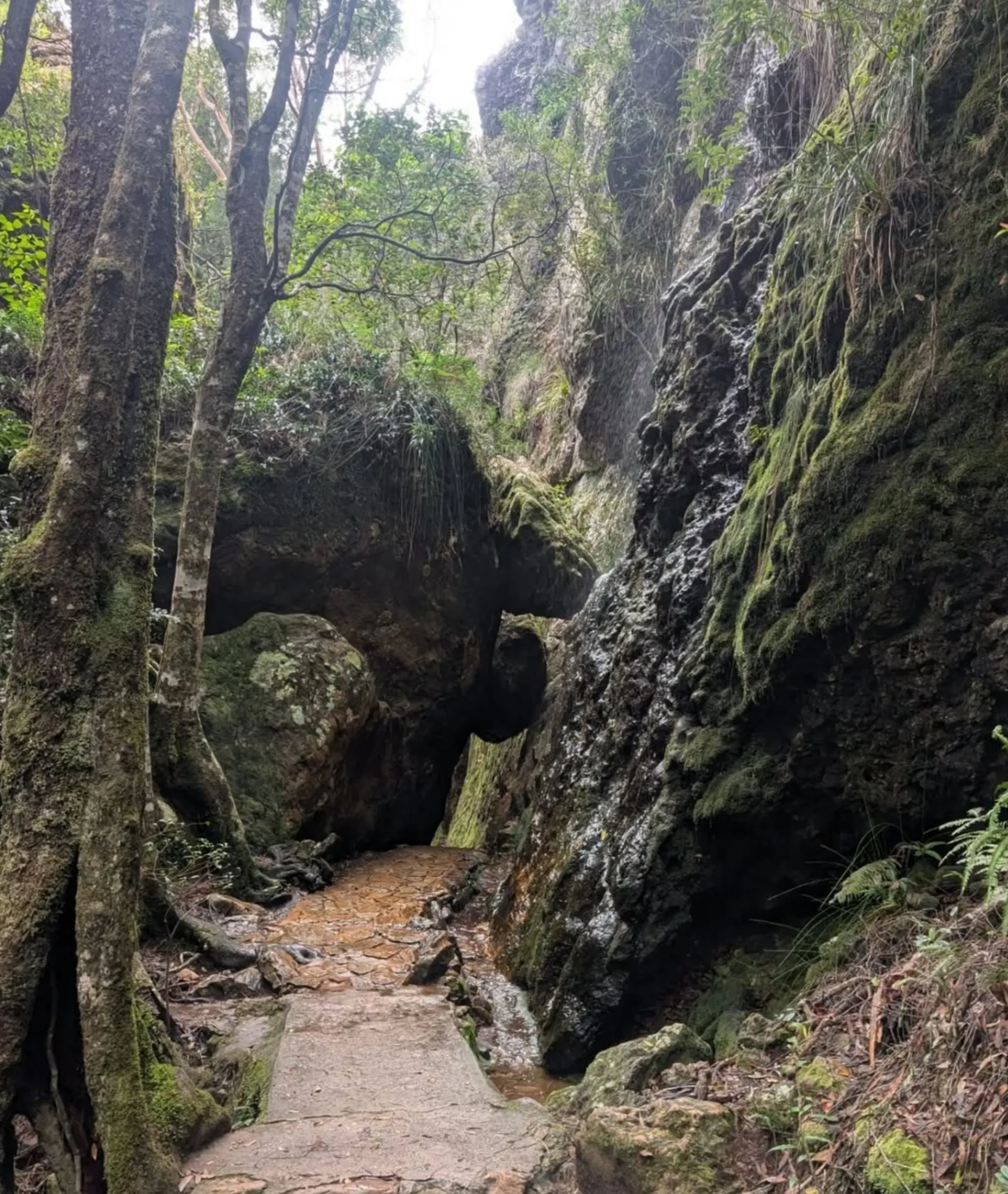 Falls Gorge Walk, Twin Falls