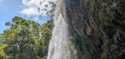 Twin Falls