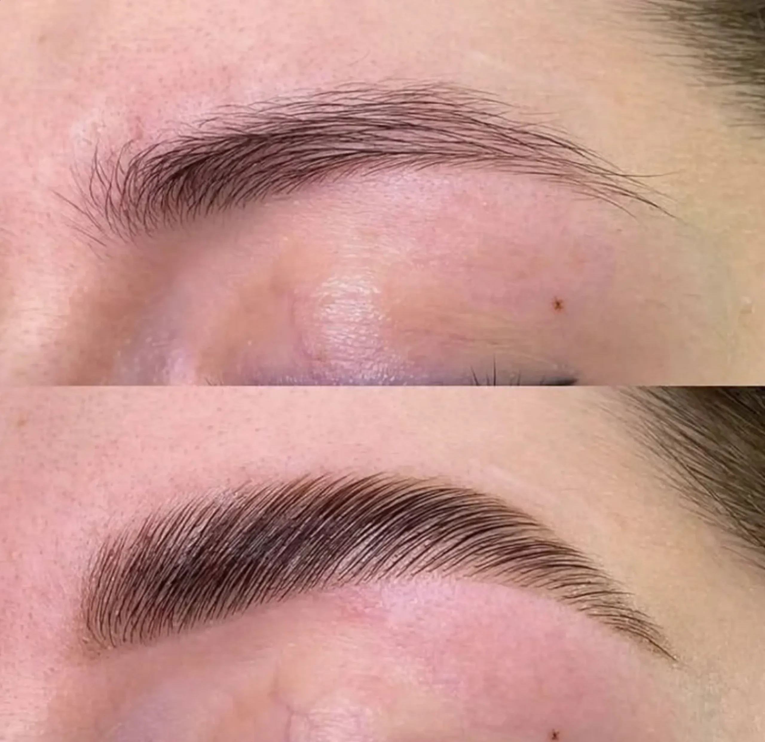 brow lamination course online